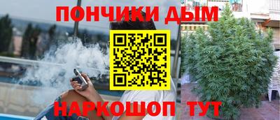 индика Партизанск