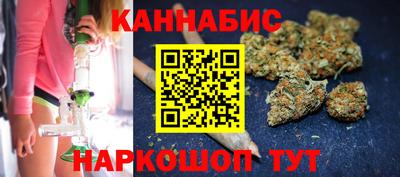 индика Партизанск
