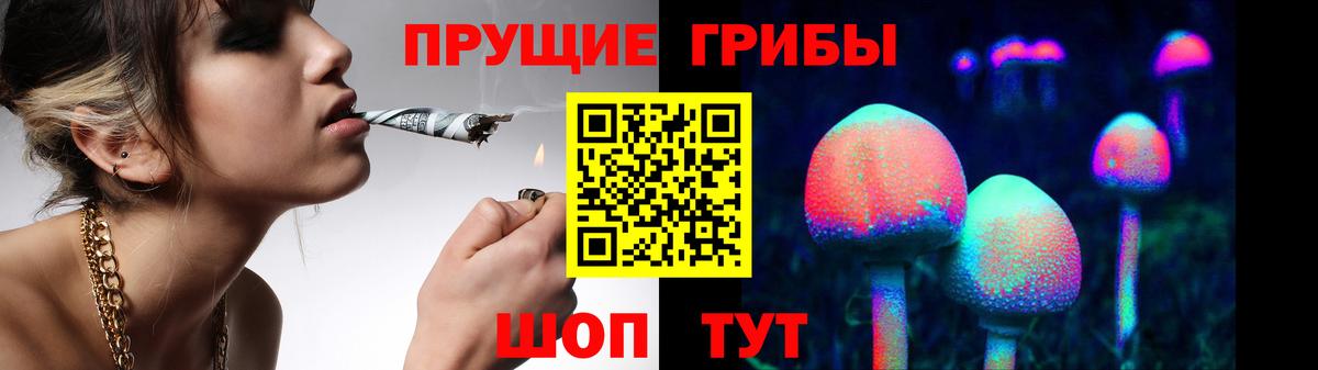 Серов  Галлюциногенные грибы Psilocybe  Вход с VPN 